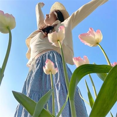 菲比梦游奇境